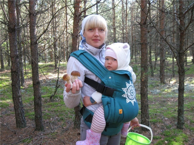 12. Лягушки-путешественницы. За грибами.